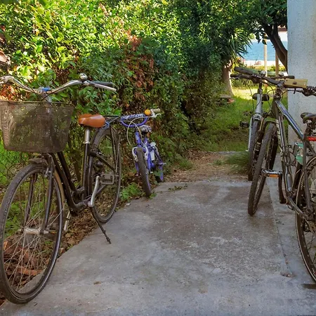 Villa Beekeeper's House By The With Boat & Bikes *