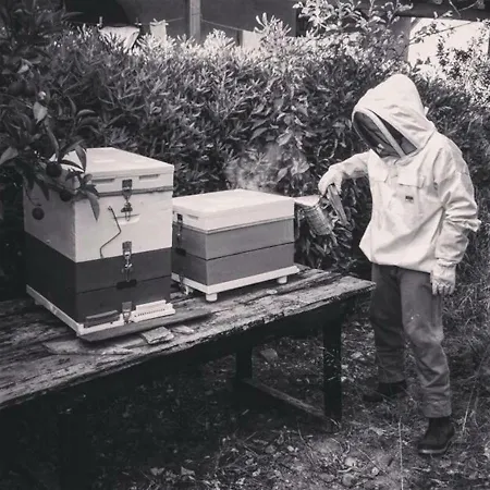 Beekeeper's House By The With Boat & Bikes * Ligia (Corinthia)
